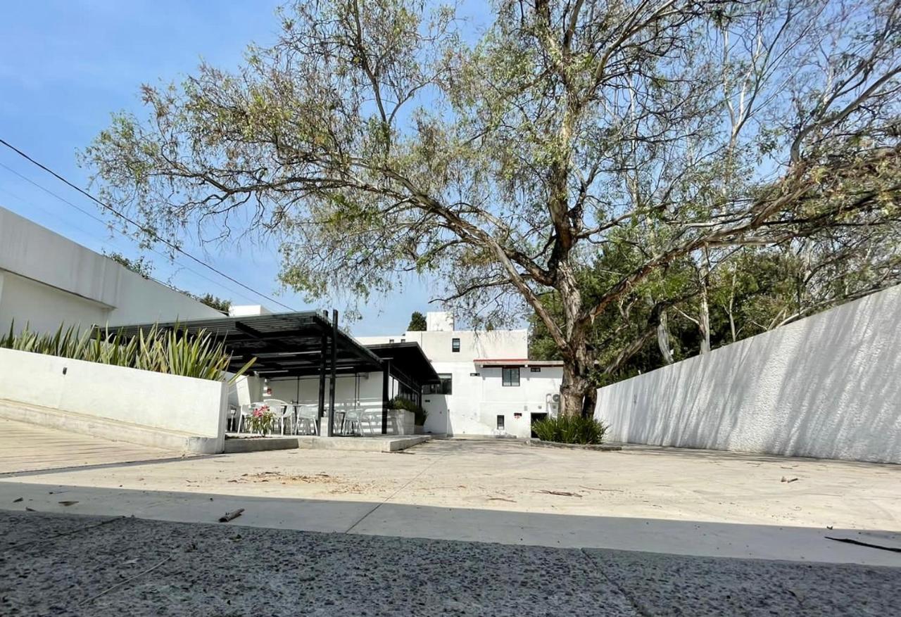 Bed and Breakfast Casa Bonsai Ciudad de México Exteriér fotografie
