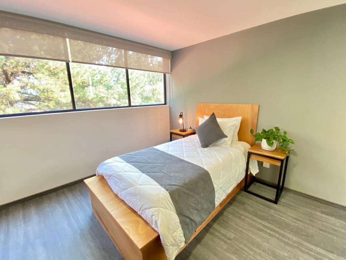 Bed and Breakfast Casa Bonsai Ciudad de México Exteriér fotografie